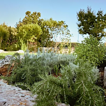 Trullo Magia By Tecla Collection Ostuni