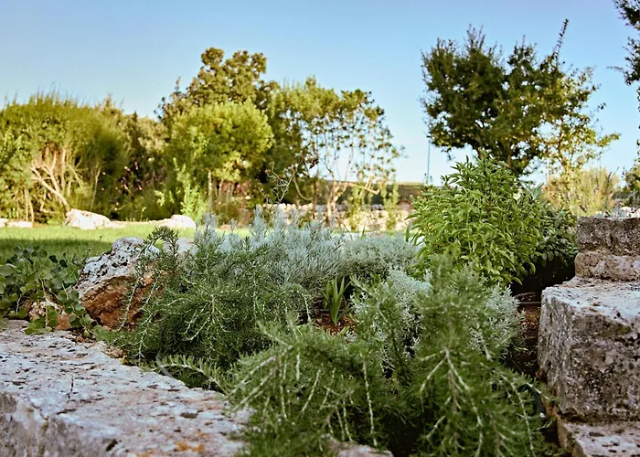 Trullo Magia By Tecla Collection 奥斯图尼